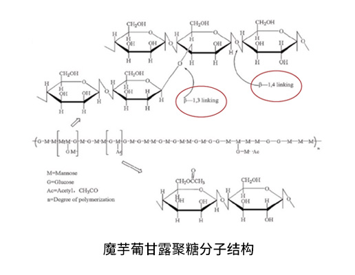 魔芋粉方程式 魔芋粉方程式