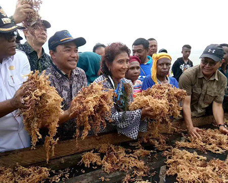 PT.BIOTA LAUT GANGGANG